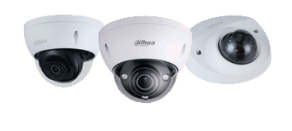 IP Minidome met vaste lens