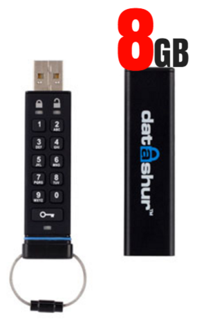 datAshur beveiligde USB 2.0 stick met PIN code 8GB