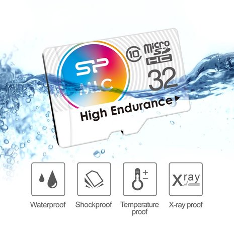 Micro SD card, SP High Endurance 32GB voor camera's