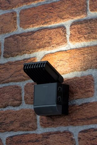 Buitenlamp-met-licht-en-bewegingssensor-Theben-theLeda-S8-100-BK buiten