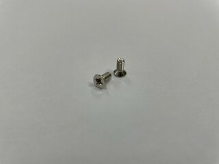 Schroeven | Schroefjes | Elektrische Sluitplaat | Voorplaat Schroefjes ten Behoeve van Elektrische Sluitplaat | Maasland 2 Stuks